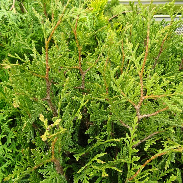 2eb389f0066eb0b9b7b4a46126caccb3.jpg 077d6fc1-68eb-4904-8e39-ab0d376f40a5