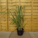 39dd133c-5245-4451-ac06-cbffb2ffb986