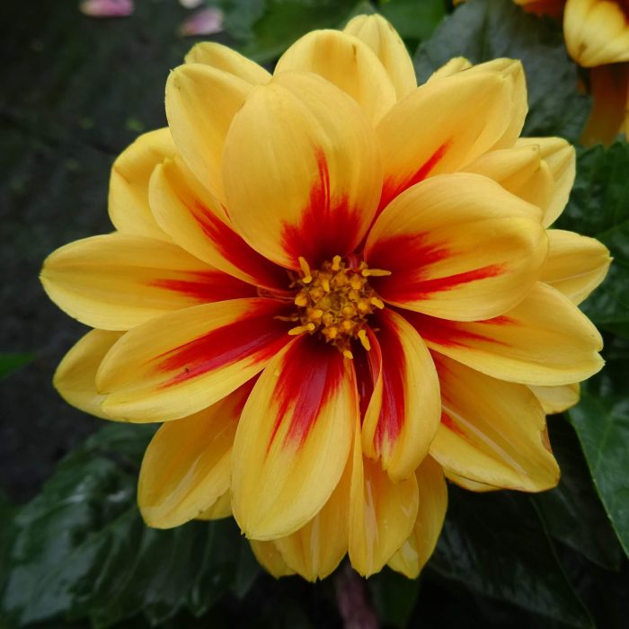 3b3cab88-d461-44ee-b277-8631331f4d65