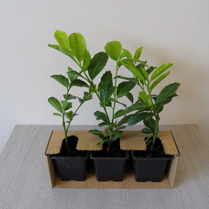 2f4fe02eaf5fbd536804c2ee02610eeb.jpg 61b5606d-909d-4745-9a47-5d37448ca81c