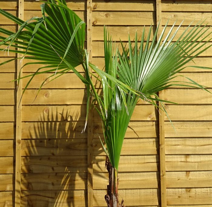 98d5f14e-d270-4d62-aa1c-6eddf28f2b6c