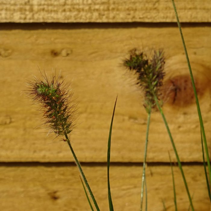 c7cb35c2-a51c-4fe0-80a0-5e5655580a95