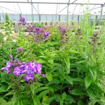 686e6d78-d264-4225-88dd-8c038031759b