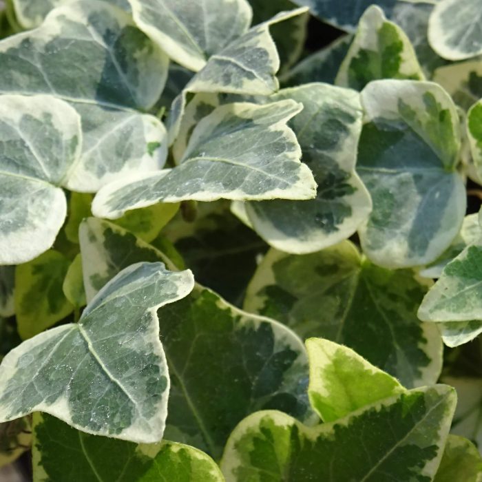 301378632ee7f535b487f6880df3c4bf.jpg c19013f5-213c-46a1-b182-51e4d04616ad