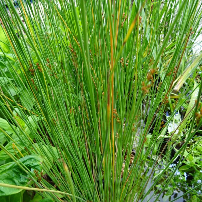 d69aec2b-0954-46d6-8dbd-03cd2871abb9