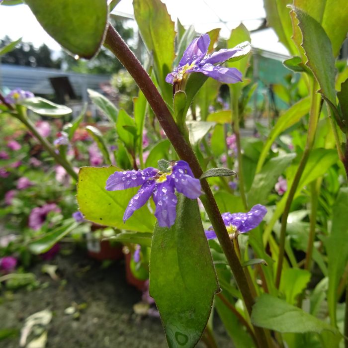 71a16eea-74ee-4320-b31c-dbb2f6e4d790