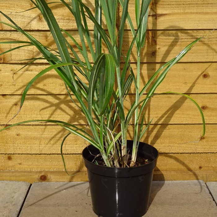 4e964286-80b5-4720-9b59-961d6d5531ca