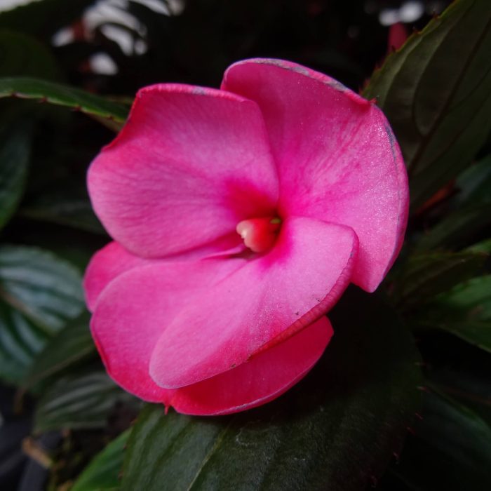 b0bfc869-b03a-4bf3-a79d-4e7c500f87c7