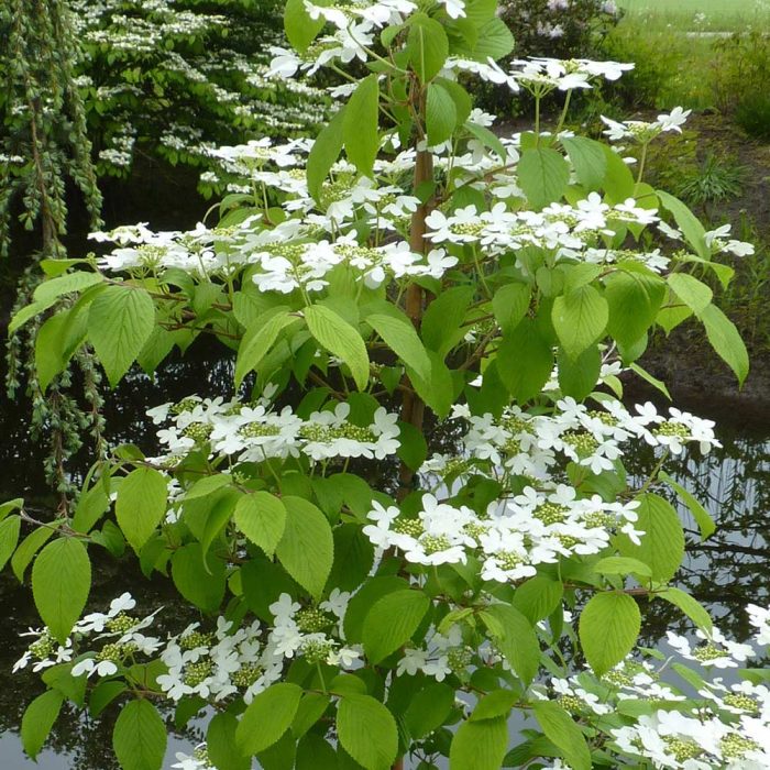 6a122bde-48c3-40d4-a9c0-88621ffa82d9