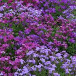 2162e82d-c418-4403-bdec-104930f78364