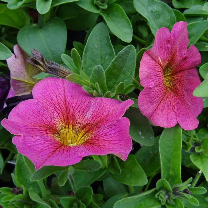 62a1b08c-20f5-4456-b372-f687f623aa8c