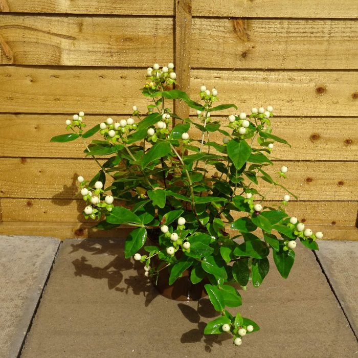 72f5f4e5-9e2b-4d15-955f-35a4264a83d4