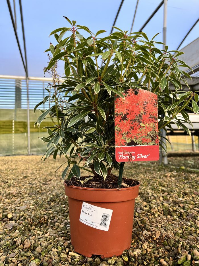 19465674-2e0b-49c3-96b9-7206f1bafddf