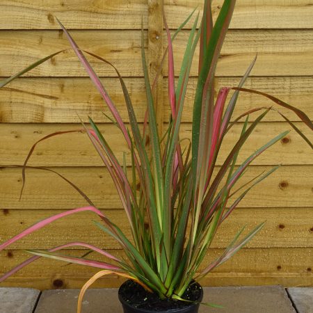 90224281-0b93-452a-b080-59418d90d157