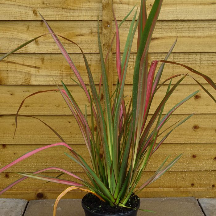 90224281-0b93-452a-b080-59418d90d157