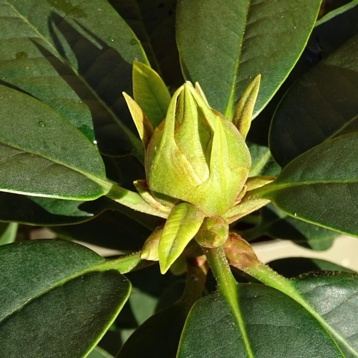 337692f6e12622ec8e2394ac30d694d5.jpg 32898251-7d9e-4c18-ae0d-af7a87725d65