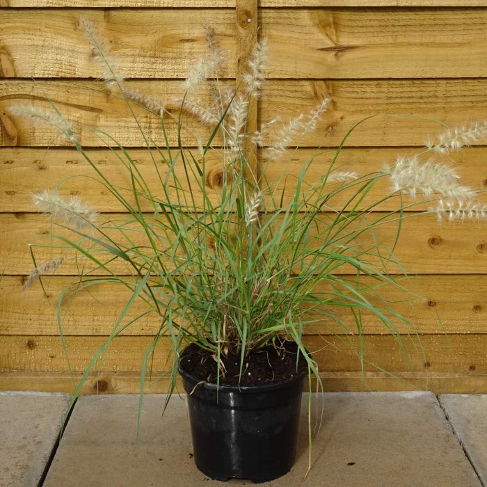 a46d595b-3342-4c82-ad46-fa48411ae545