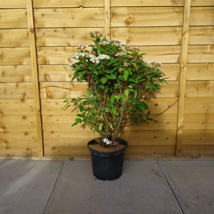 a9fec780-3fb9-40ad-8249-5be64679cc5f