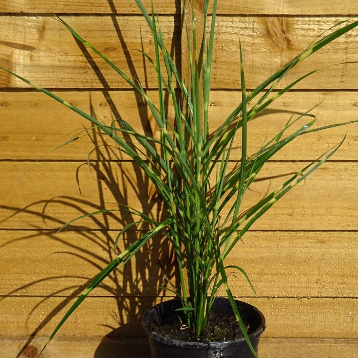 3401c306ce71f0945f606182952d4201.jpg 3911ed7e-24de-49c9-bb83-f60621e490d1