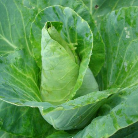 e73c7a43-78ac-4569-bc3e-60d0c3f9d78a