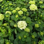 46bb53e9-210c-4912-886c-6b6a325e8ab6