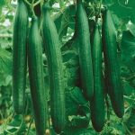 4e5119b0-92ff-4e3a-98c6-65bb76d11f19