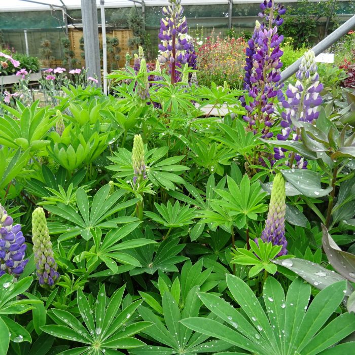 1f12befe-4692-4bab-9ca4-297099e16139