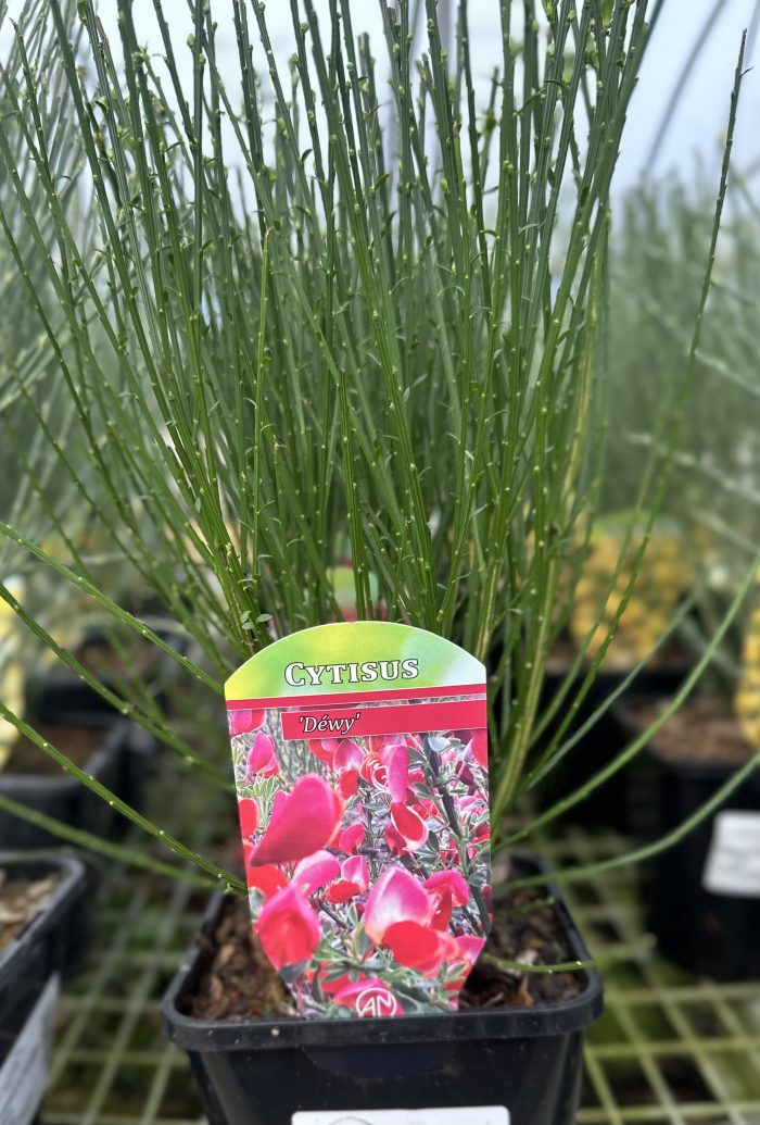 ee755eac-3e36-4a87-a10f-0a9df543a64d