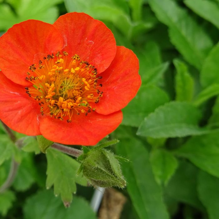 cc725431-40d2-43a5-8c7f-793a8937e0f9