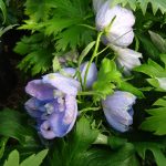 bac1a8d8-60f8-4377-a1ba-07a66958afc6