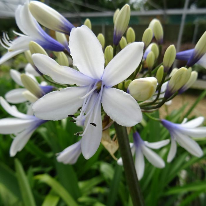 3ddec0fc-c0e5-4ac7-93df-7eb7ed0f8ec2