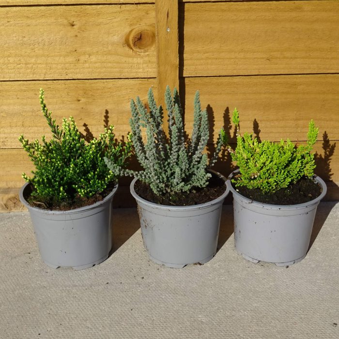 fd66d5b2-3213-41be-83e7-26cde2944290