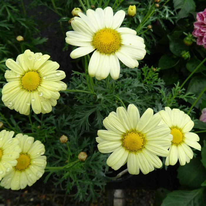 379d92d483da4bc85813e414dd08bc27.jpg 789f7974-a156-4a33-a852-1927af8e0ce1