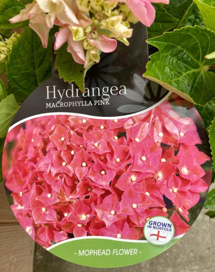 384f71866c46dfaa160d61fa2ded9560.jpg 636f260f-b4a7-4437-944b-4e82fb61d77c