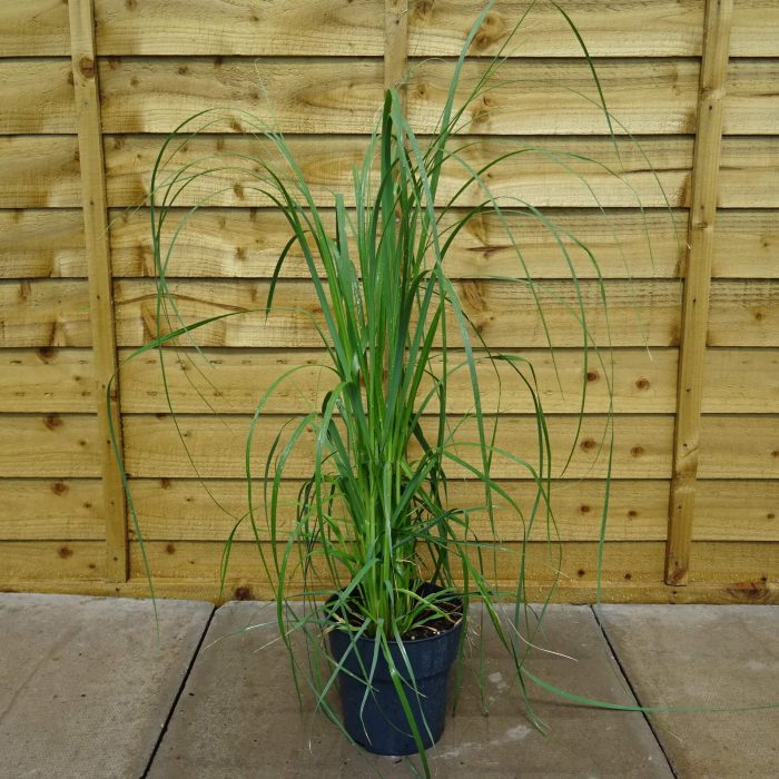 6d8dd8a1-b628-42c9-9f11-1c9861f6aae0