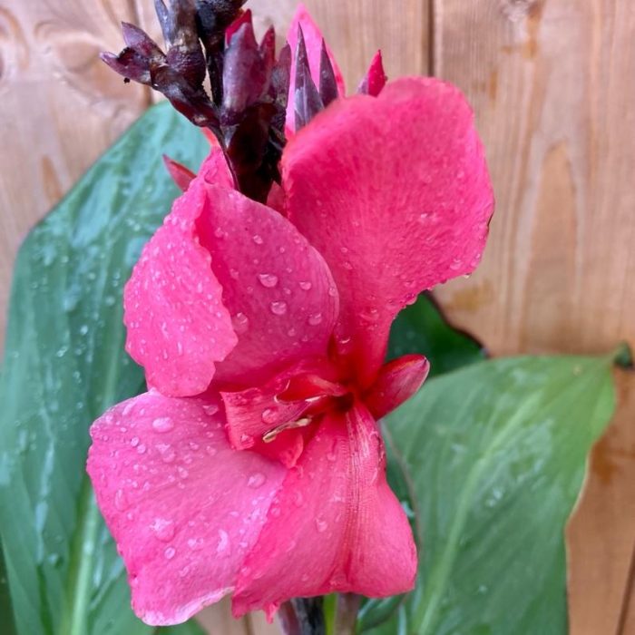 fe29818c-6931-428e-bf5f-fc051b7f60f7