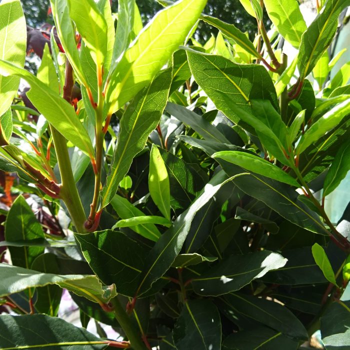 39119c15dfd165ff5005e288748f2ab8.jpg 1e3cb5bd-9f6c-4d25-98d4-4fdc28593123