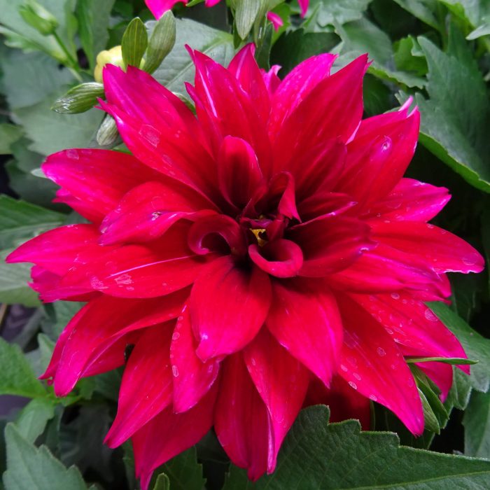 2f586fbe-7d2c-4830-a14f-9a87de05f0af