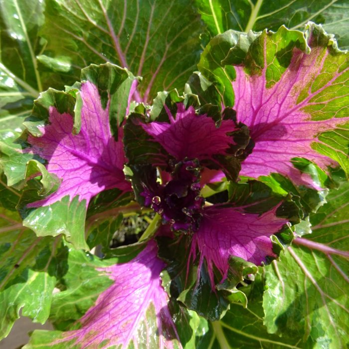 849a267c-504b-4d68-a5ad-9cd821a077f3