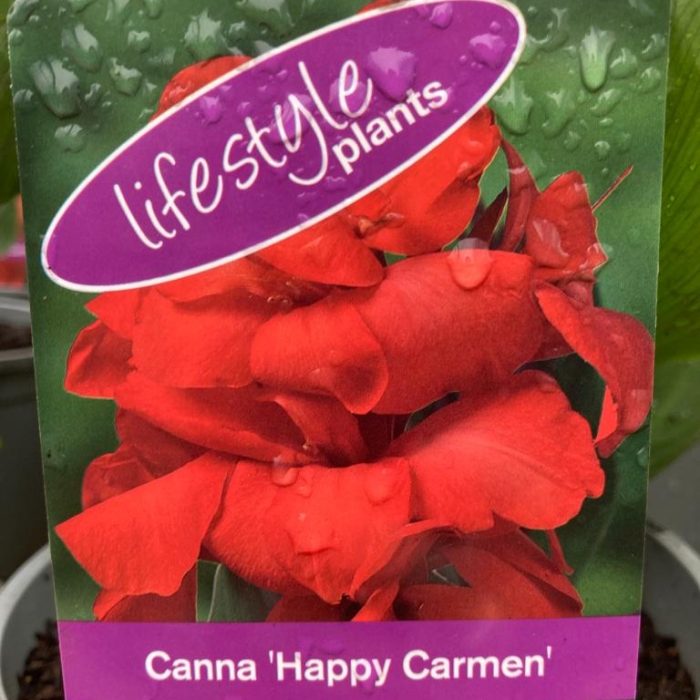 3f2dac54-be1d-4f11-8e7a-60fab9098955