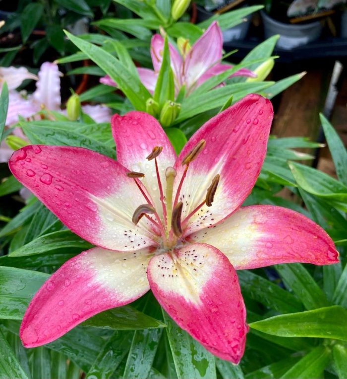 8903d7da-0032-4fee-807e-4b0fac5224d9