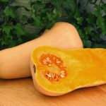 87af27ff-edb8-4a7a-899d-db315fa1ffba