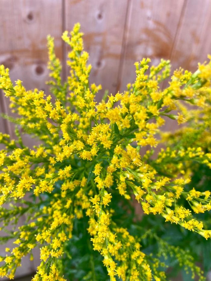 0d58916f-4246-4c68-9196-30cd2a36e9f2