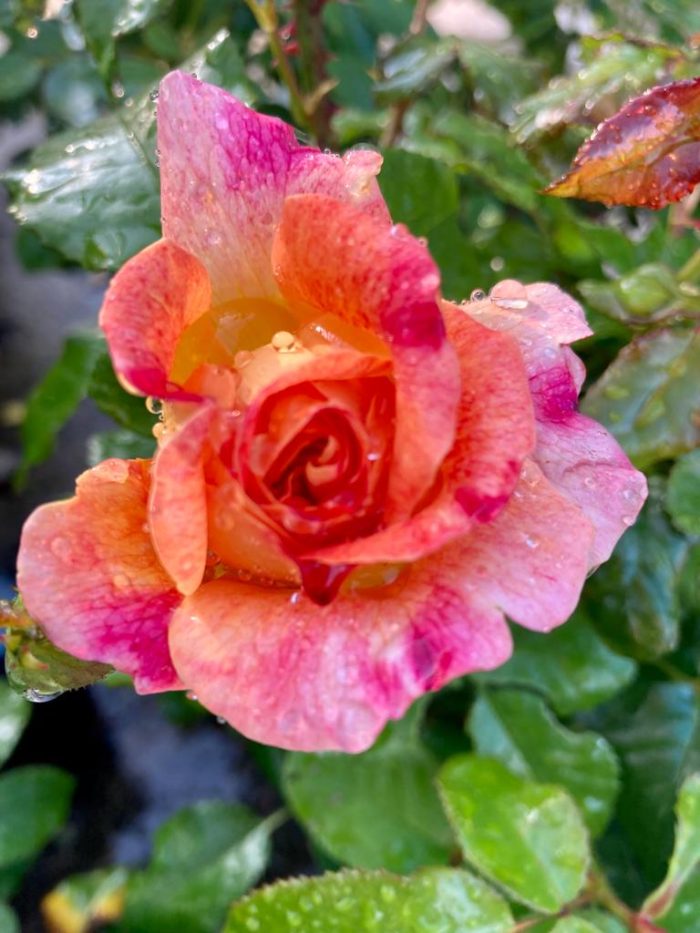 4b3abbea-92e7-42b2-ad67-993f8f43f973