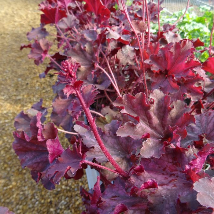 b6e0aefa-2121-4413-8b97-4511deffb4dd