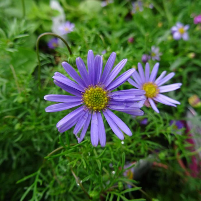 d091fd1f-eb9e-4e0e-a1f6-6a350ee7cad4