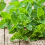 563d6e2a-dab1-46e2-acd7-04d04b4e9ed9