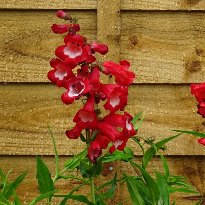 582ab539-529c-4a95-b983-0f6d6c40a4e7