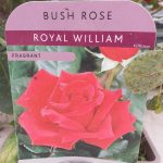 6c5e12b5-5999-4b60-abf8-cc8c8dca827e