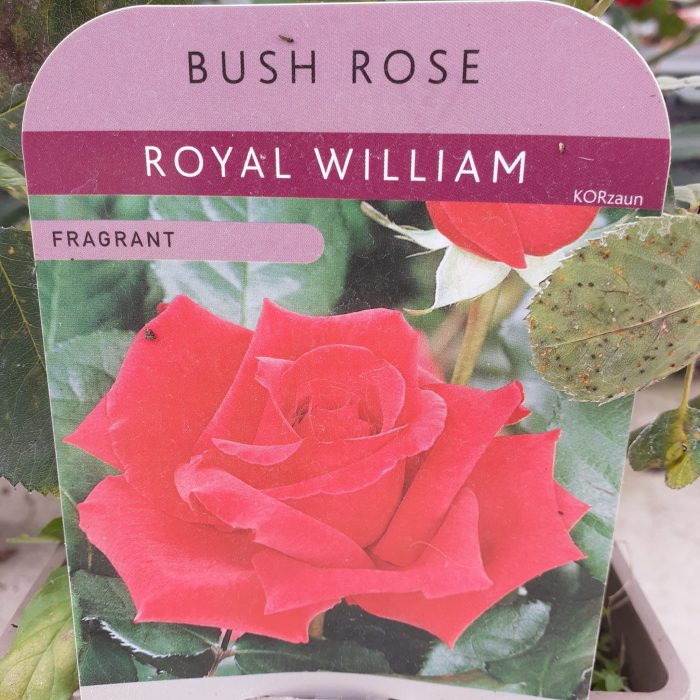 6c5e12b5-5999-4b60-abf8-cc8c8dca827e